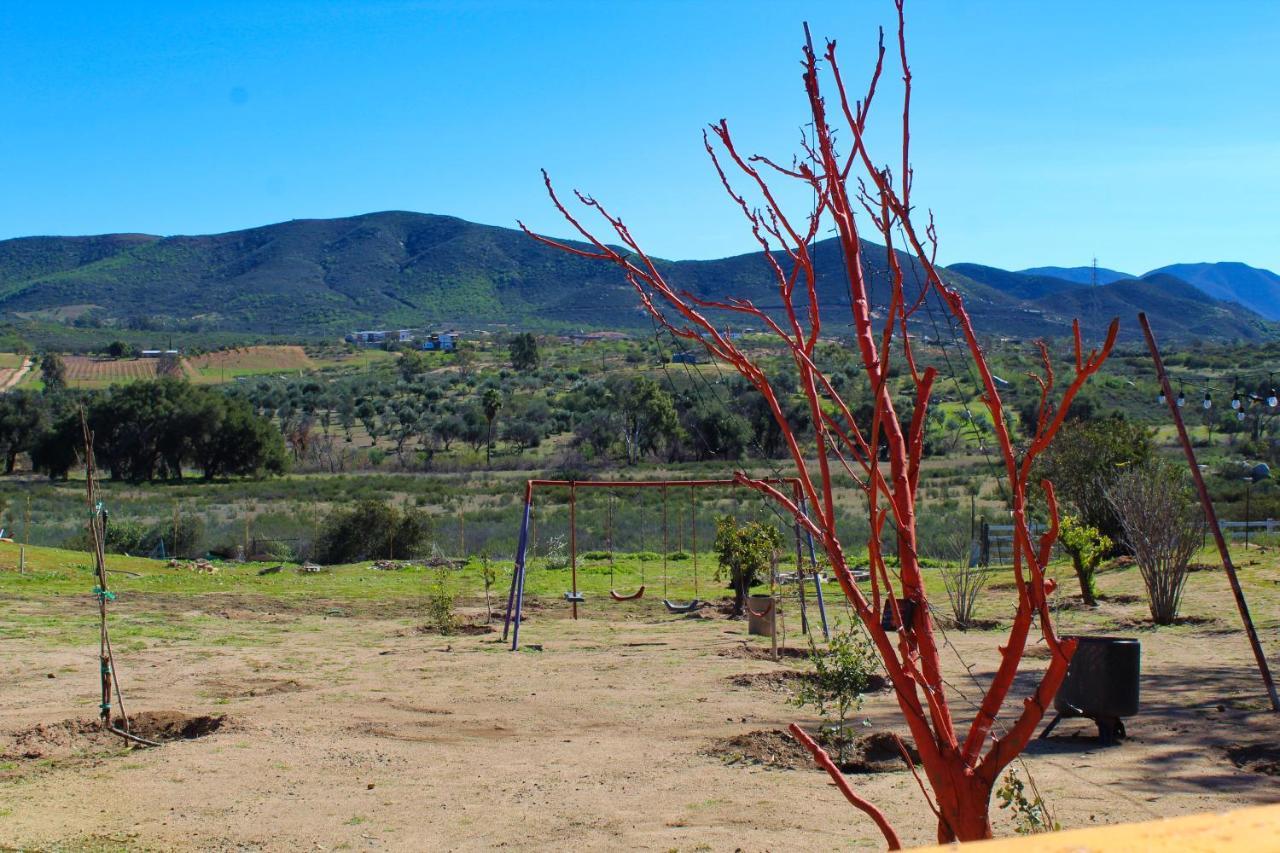 Rancho Matalote En 瓜达鲁佩镇 外观 照片