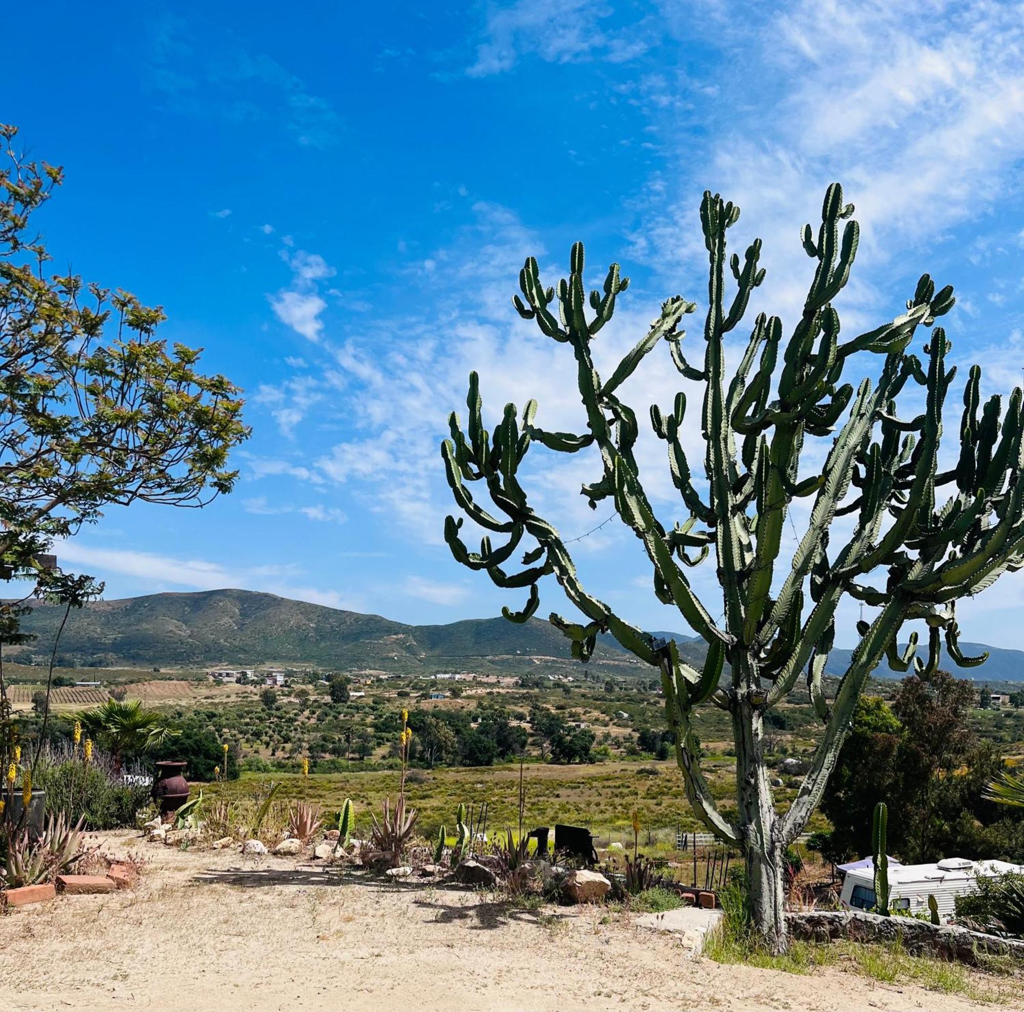 Rancho Matalote En 瓜达鲁佩镇 外观 照片